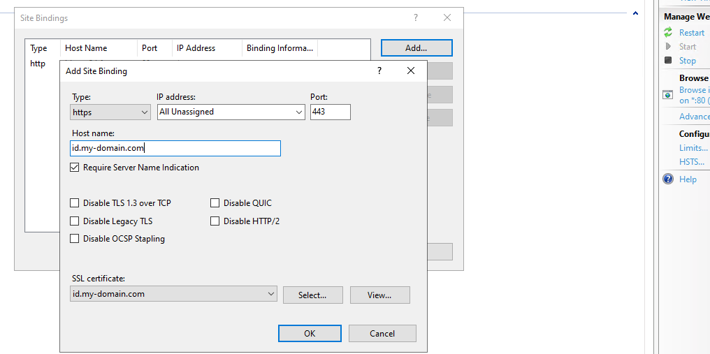 Windows Server with IIS - add the FoxIDs website